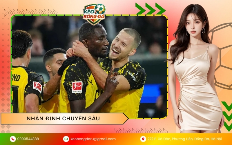 Nhận định chuyên sâu